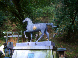 画像の説明