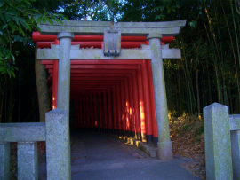 屋島寺