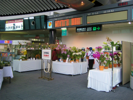 高松空港・洋蘭展