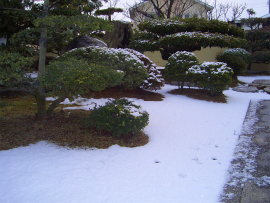 雪化粧