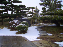 雪化粧