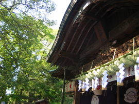 八坂神社・秋祭り