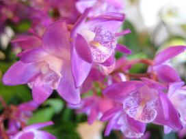 20100308