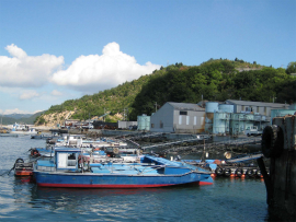  瀬戸内国際芸術祭2010in直島｜宮浦港