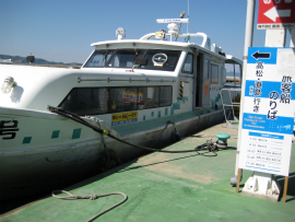 瀬戸内国際芸術祭2010in豊島|まりんなつ1号