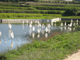 瀬戸内国際芸術祭2010in豊島| Teshima sense（豊島の気配）