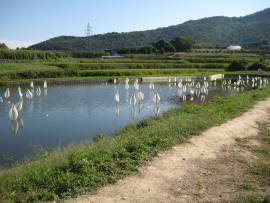 瀬戸内国際芸術祭2010in豊島| Teshima sense（豊島の気配）