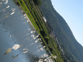 瀬戸内国際芸術祭2010in豊島| Teshima sense（豊島の気配）