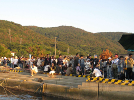 瀬戸内国際芸術祭2010in豊島|家浦港行列