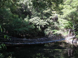  四国村2010｜かずら橋