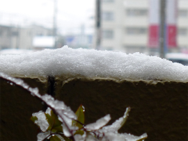 積雪