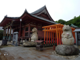 屋島｜屋島太三郎狸