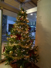 クリスマスツリー2011