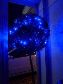 クリスマスツリー2011LED