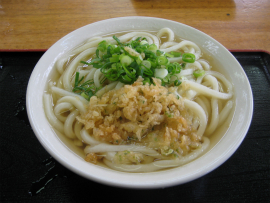 さくら製麺｜かけ(大)￥250