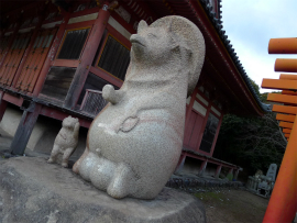 初詣2013屋島寺-009