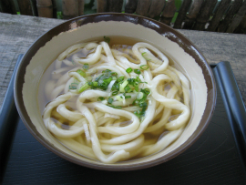 こだわり手打ちうどん　山｜かけ（2玉）￥280