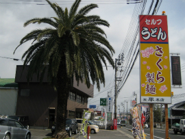 さくら製麺