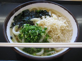 さか枝うどん春日店｜かけうどん