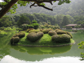 栗林公園｜恋ツツジ