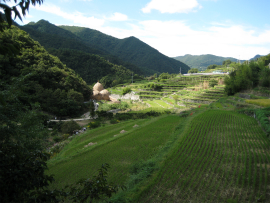 瀬戸内国際芸術祭2010in小豆島｜66・小豆島の家