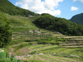 瀬戸内国際芸術祭2010in小豆島｜中山千枚田