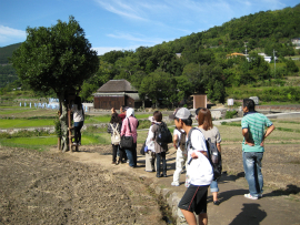 瀬戸内国際芸術祭2010in小豆島｜63・島-人が島を夢想するとき「径」