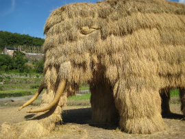 瀬戸内国際芸術祭2010in小豆島｜65・わらアート「象」