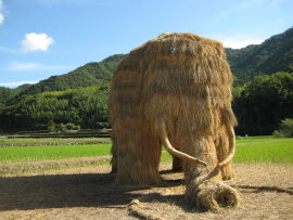 瀬戸内国際芸術祭2010in小豆島｜65・わらアート「象」