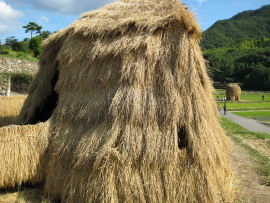 瀬戸内国際芸術祭2010in小豆島｜65・わらアート