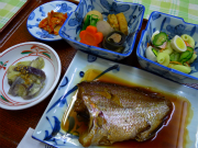 晩御飯2011/05/19