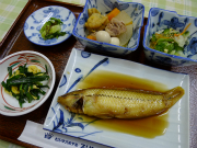 晩御飯2011/06/29