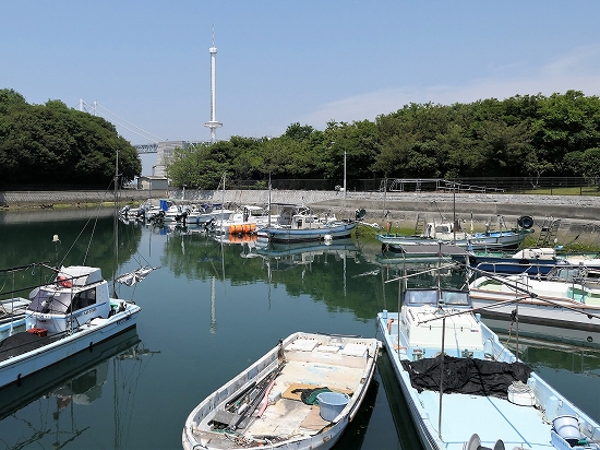 瀬戸内国際芸術祭2019 in 沙弥島029