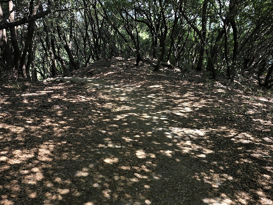 瀬戸内国際芸術祭2019 in 沙弥島114