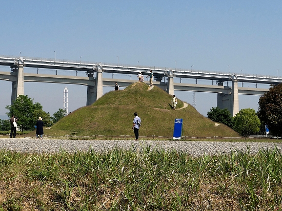 瀬戸内国際芸術祭2019 in 沙弥島132