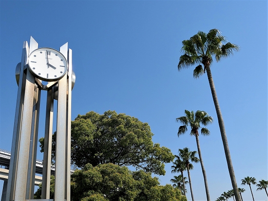 瀬戸内国際芸術祭2019 in 沙弥島166