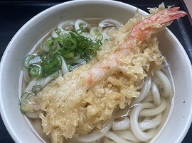 かけうどん　えび天